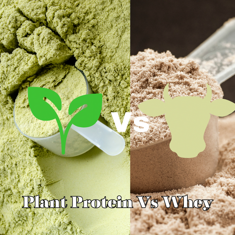 Plant Protein Vs Whey Protein Powder Types Compared Healthyroo Nepal